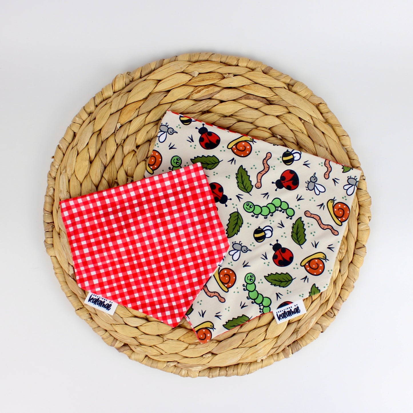 Spring Picnic