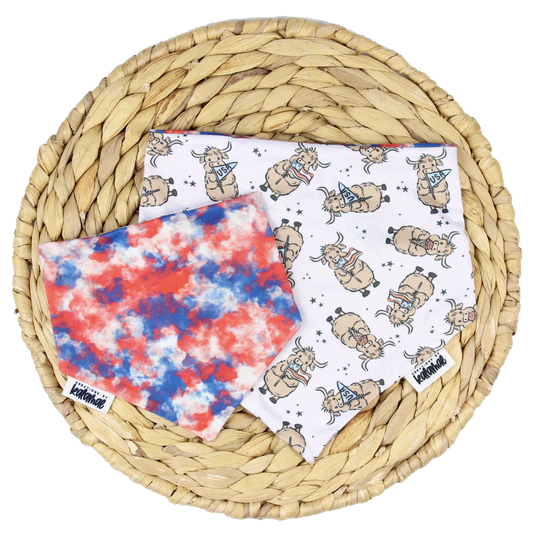 Barnyard Blue