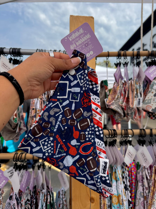 Bandana | Football - Illinois