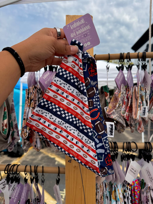 Bandana | Football - Illinois