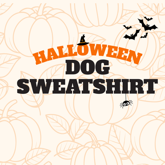 Halloween Dog Sweatshirt